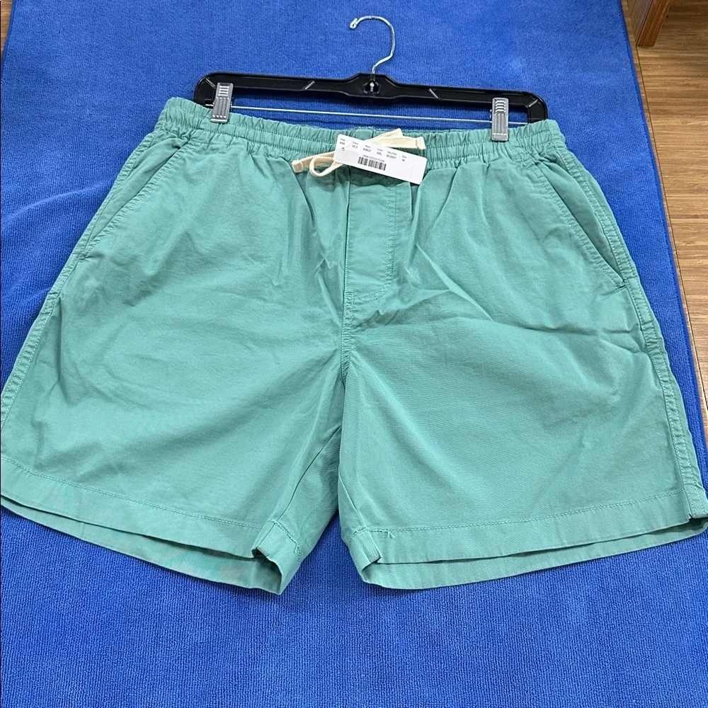 J. Crew Teal Drawstring Shorts